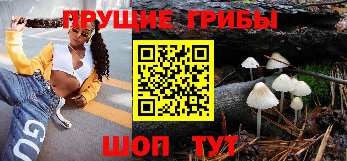 Галлюциногенные грибы Cubensis Новокубанск