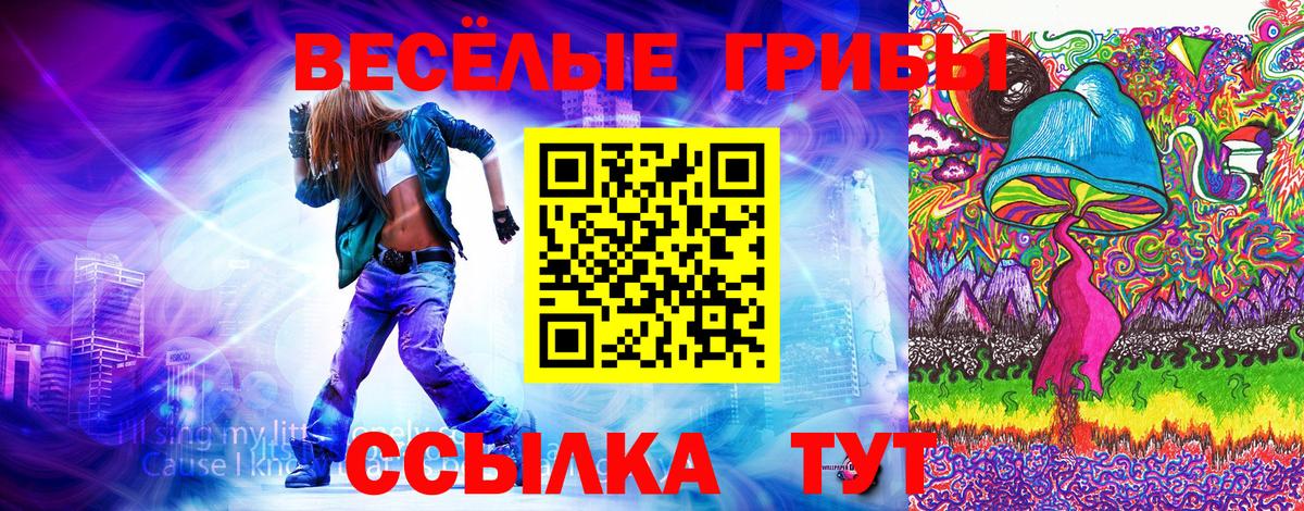 где найти   Псилоцибиновые грибы прущие грибы  Вход с VPN  Галлюциногенные грибы Psilocybine cubensis  Новокубанск 